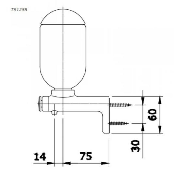 TS125R ban ve ky thuat