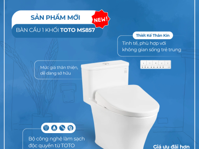 Bồn Cầu 1 Khối TOTO MS857DT8