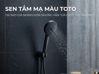 Tại Sao Sen Tắm Mạ Màu Của TOTO Giá Nhỉnh Hơn Nhưng Vẫn "Gây Sốt" Thị Trường?