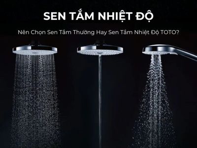 Nên Chọn Sen Tắm Thường Hay Sen Tắm Nhiệt Độ TOTO?