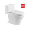 MS857DT2 new
