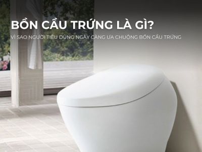 Ban sao cua SEO WEB MP 14