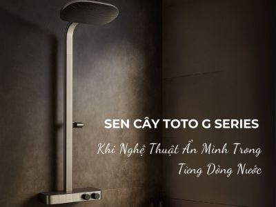 Sen Cây TOTO G Series – Khi Nghệ Thuật Ẩn Mình Trong Từng Dòng Nước