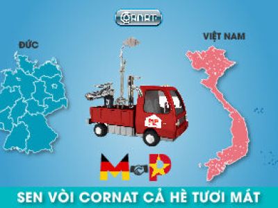 190425 anh avatar Cornat 02 e1716806795417