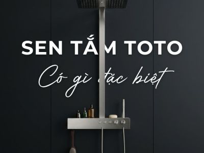 Sen Tắm TOTO Có Gì Đặc Biệt? Vì Sao Ngày Càng Nhiều Người Lựa Chọn?