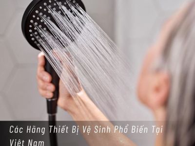 Các Hãng Thiết Bị Vệ Sinh Phổ Biến Tại Việt Nam