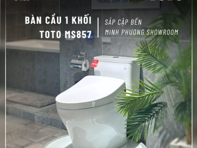 bàn cầu 1 khối,bàn cầu TOTO, TOTO MS857