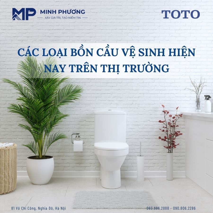 Các Loại Bồn Cầu Vệ Sinh Hiện Nay Trên Thị Trường - Nên Chọn Loại Nào?