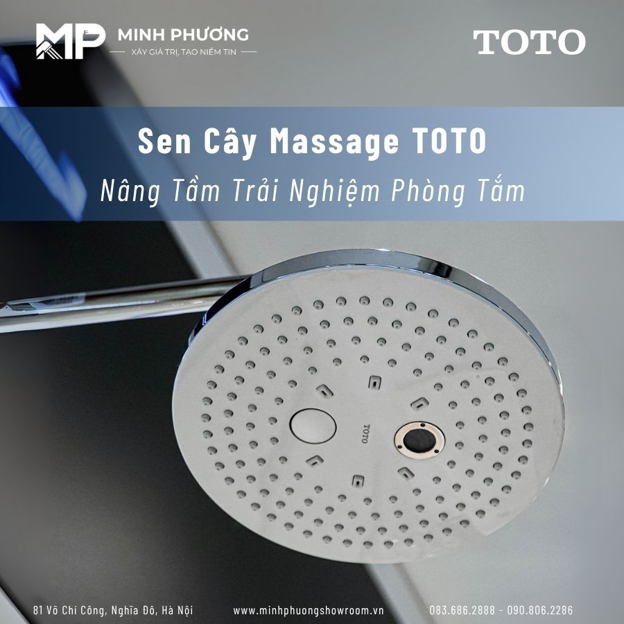 Sen Cây Massage TOTO – Nâng Tầm Trải Nghiệm Phòng Tắm