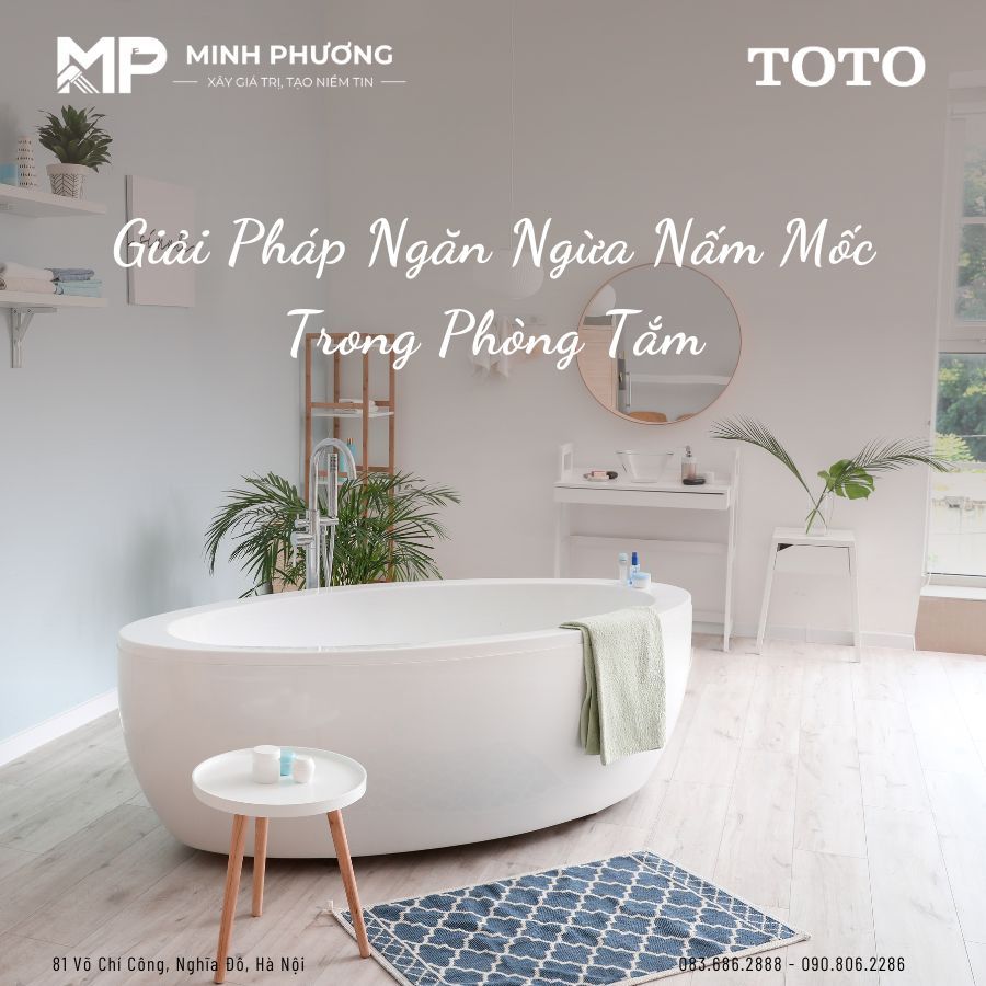 Nguy Hiểm Tiềm Ẩn Và Giải Pháp Ngăn Ngừa Nấm Mốc Trong Phòng Tắm Hiệu Quả