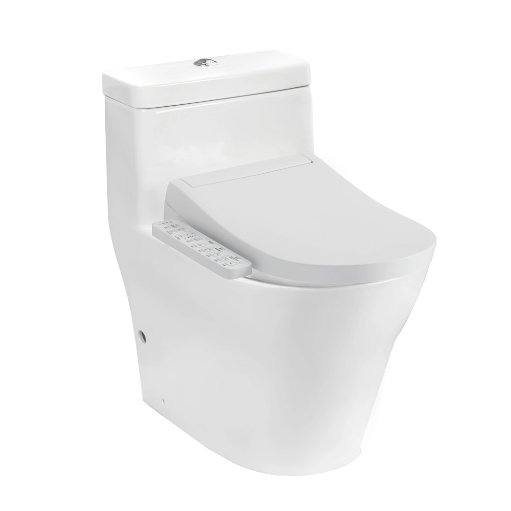 Bàn cầu 1 khối nắp điện tử WASHLET TOTO CW166RB TCF33320GAA T53P100VR