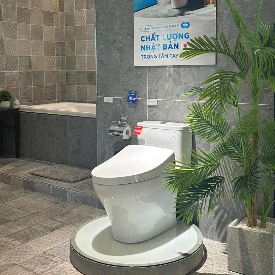 TOTO MS857 - Thiết kế nguyên khối sang trọng