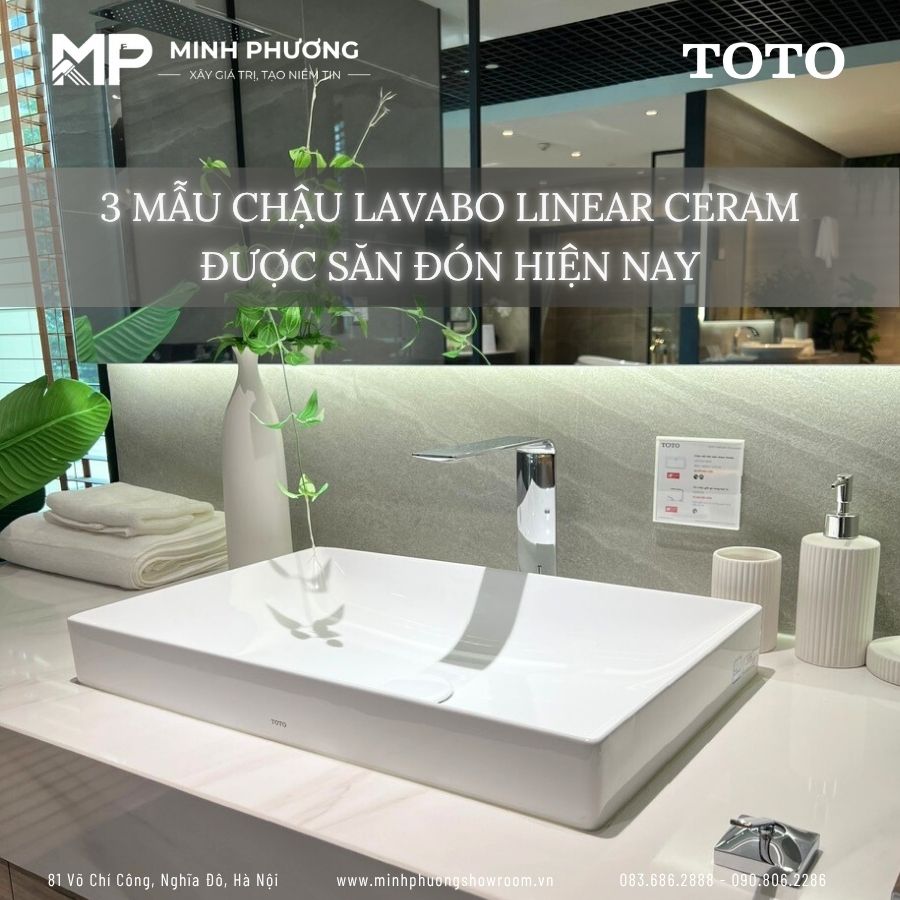 Chậu Lavabo Đặt Bàn Linear Ceram TOTO: 3 Mẫu Chậu Được Săn Đón Hiện Nay