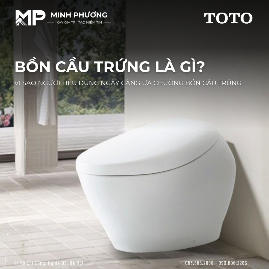 Bồn Cầu Trứng Là Gì? Vì Sao Người Tiêu Dùng Ngày Càng Ưa Chuộng