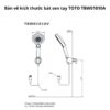 Bộ sen âm tường TOTO TBV02406B TBW01010A TBW08003A #PFG Vàng Pháp Bóng