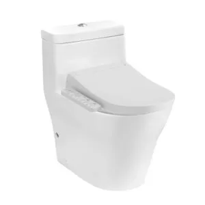 Bàn cầu 1 khối nắp điện tử WASHLET TOTO CW166RB TCF33320GAA T53P100VR