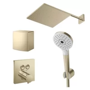 Sen tắm âm tường TOTO TBV02406B#BFG TBW01010A#BFG TBW08003A#BFG TBW08009A#BFG Vàng Pháp Mờ