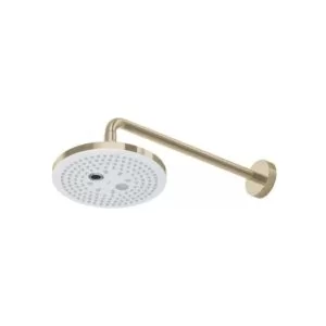 Bát sen gắn tường TOTO TBW01004A#BFG