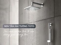 Sen Tắm Âm Tường TOTO Có Tốt Không? Phù Hợp Với Kiểu Phòng Tắm Nào?