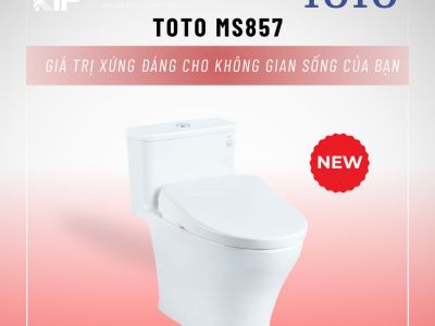 TOTO MS857