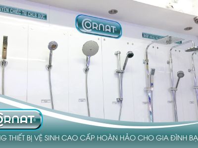 190412 avatar cornat sua e1716804897372 1ca7d351