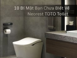 10 Bí Mật Bạn Chưa Biết Về Neorest TOTO Toilet
