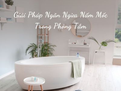 Nguy Hiểm Tiềm Ẩn Và Giải Pháp Ngăn Ngừa Nấm Mốc Trong Phòng Tắm Hiệu Quả