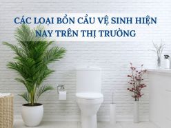 Các Loại Bồn Cầu Vệ Sinh Hiện Nay Trên Thị Trường - Nên Chọn Loại Nào?