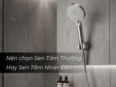 Nên chọn Sen Tắm Thường Hay Sen Tắm Nhiệt Độ? Góc Nhìn Từ Người Dùng