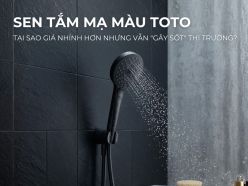 Tại Sao Sen Tắm Mạ Màu Của TOTO Giá Nhỉnh Hơn Nhưng Vẫn "Gây Sốt" Thị Trường?