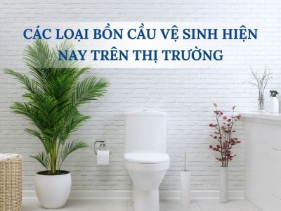 Các Loại Bồn Cầu Vệ Sinh Hiện Nay Trên Thị Trường - Nên Chọn Loại Nào?