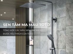 Tổng Hợp Các Mẫu Sen Tắm Mạ Màu Được Yêu Thích Của TOTO