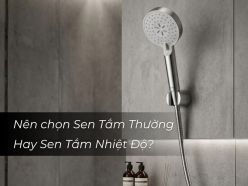 Nên chọn Sen Tắm Thường Hay Sen Tắm Nhiệt Độ? Góc Nhìn Từ Người Dùng