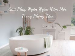 Nguy Hiểm Tiềm Ẩn Và Giải Pháp Ngăn Ngừa Nấm Mốc Trong Phòng Tắm Hiệu Quả