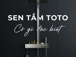 Sen Tắm TOTO Có Gì Đặc Biệt? Vì Sao Ngày Càng Nhiều Người Lựa Chọn?