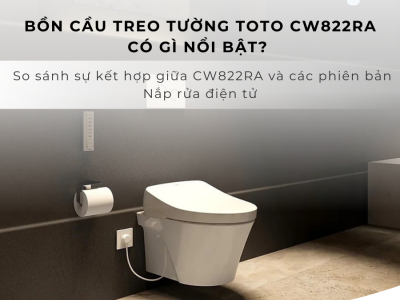 Bồn cầu TOTO CW822RA