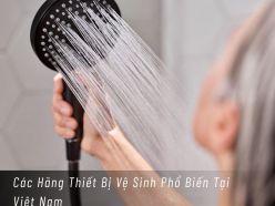 Các Hãng Thiết Bị Vệ Sinh Phổ Biến Tại Việt Nam