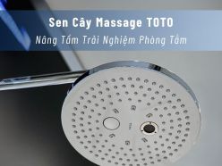 Sen Cây Massage TOTO – Nâng Tầm Trải Nghiệm Phòng Tắm