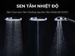Nên Chọn Sen Tắm Thường Hay Sen Tắm Nhiệt Độ TOTO?