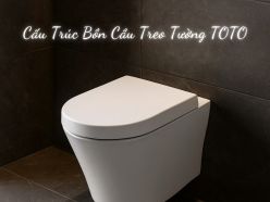 Cấu Trúc Bồn Cầu Treo Tường TOTO: Bí Mật Đằng Sau Khả Năng Chịu Tải 300kg