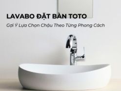 Lavabo Đặt Bàn: Gợi Ý Lựa Chọn Chậu Lavabo TOTO Theo Từng Phong Cách Phòng Tắm