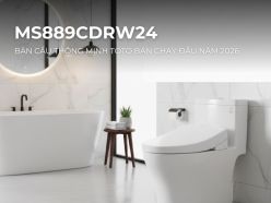 MS889CDRW24 – Bàn Cầu Thông Minh TOTO Bán Chạy Đầu Năm 2026