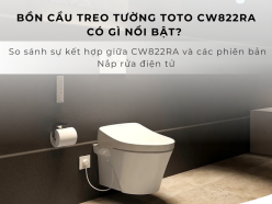 Bồn cầu TOTO CW822RA