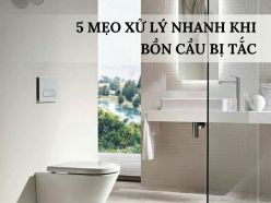 5 Mẹo Xử Lý Nhanh Khi Bồn Cầu Bị Tắc