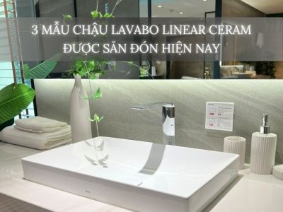 Chậu Lavabo Đặt Bàn Linear Ceram TOTO: 3 Mẫu Chậu Được Săn Đón Hiện Nay