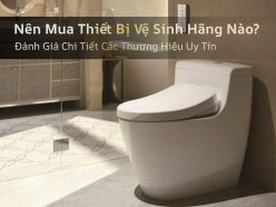 Nên Mua Thiết Bị Vệ Sinh Hãng Nào