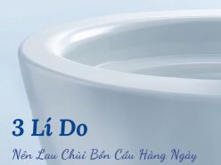 3 Lí Do Nên Lau Chùi Bồn Cầu Hàng Ngày