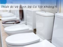thiết bị vệ sinh giá rẻ có tốt không?
