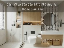 Cách Chọn Bồn Cầu TOTO Phù Hợp Với Không Gian Nhỏ