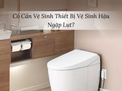 Có Cần Vệ Sinh Thiết Bị Vệ Sinh Hậu Ngập Lụt?